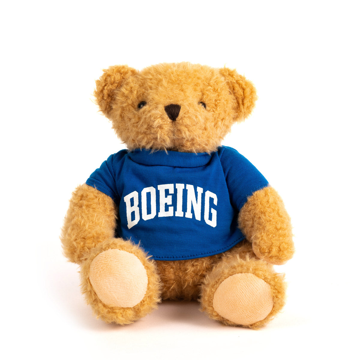 https://www.boeingstore.com/cdn/shop/products/2fda4d1fc9f17432a14f7281f33cc2c7_1200x.jpg?v=1675881612